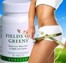 Fields Of Greens - Nutracêutico - Emagrecedor